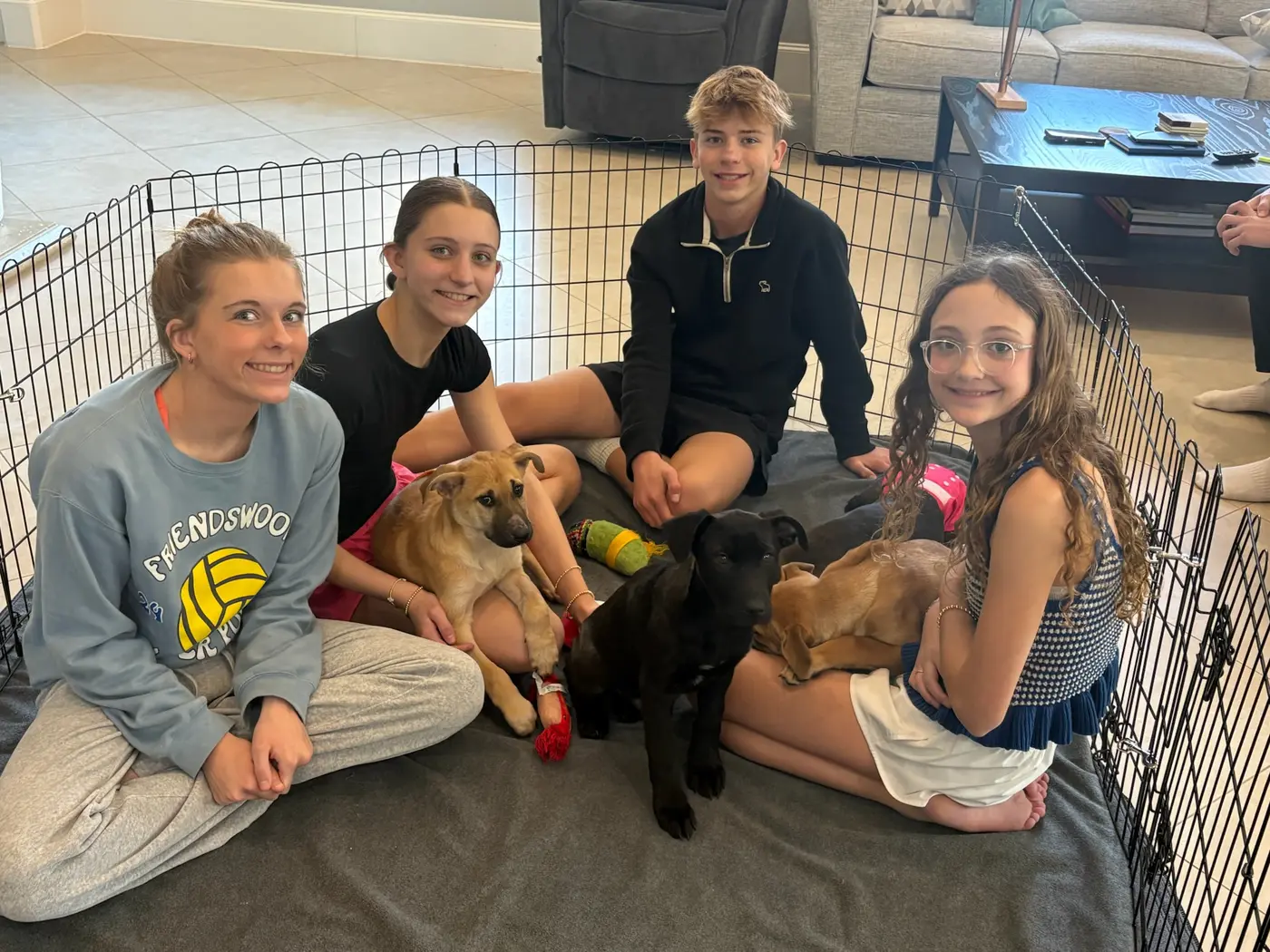 Puppy party success photo 9